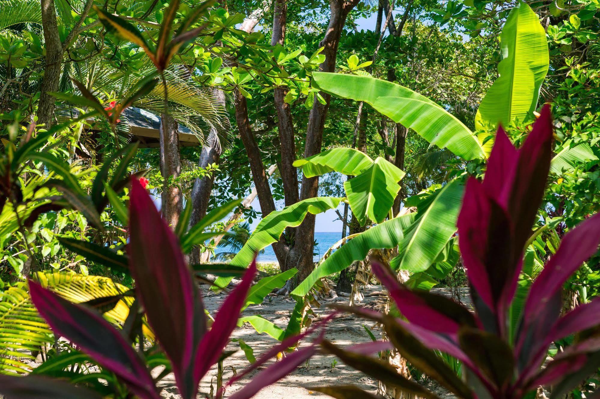 Casa Flores Palmetto Bay Eksteriør billede