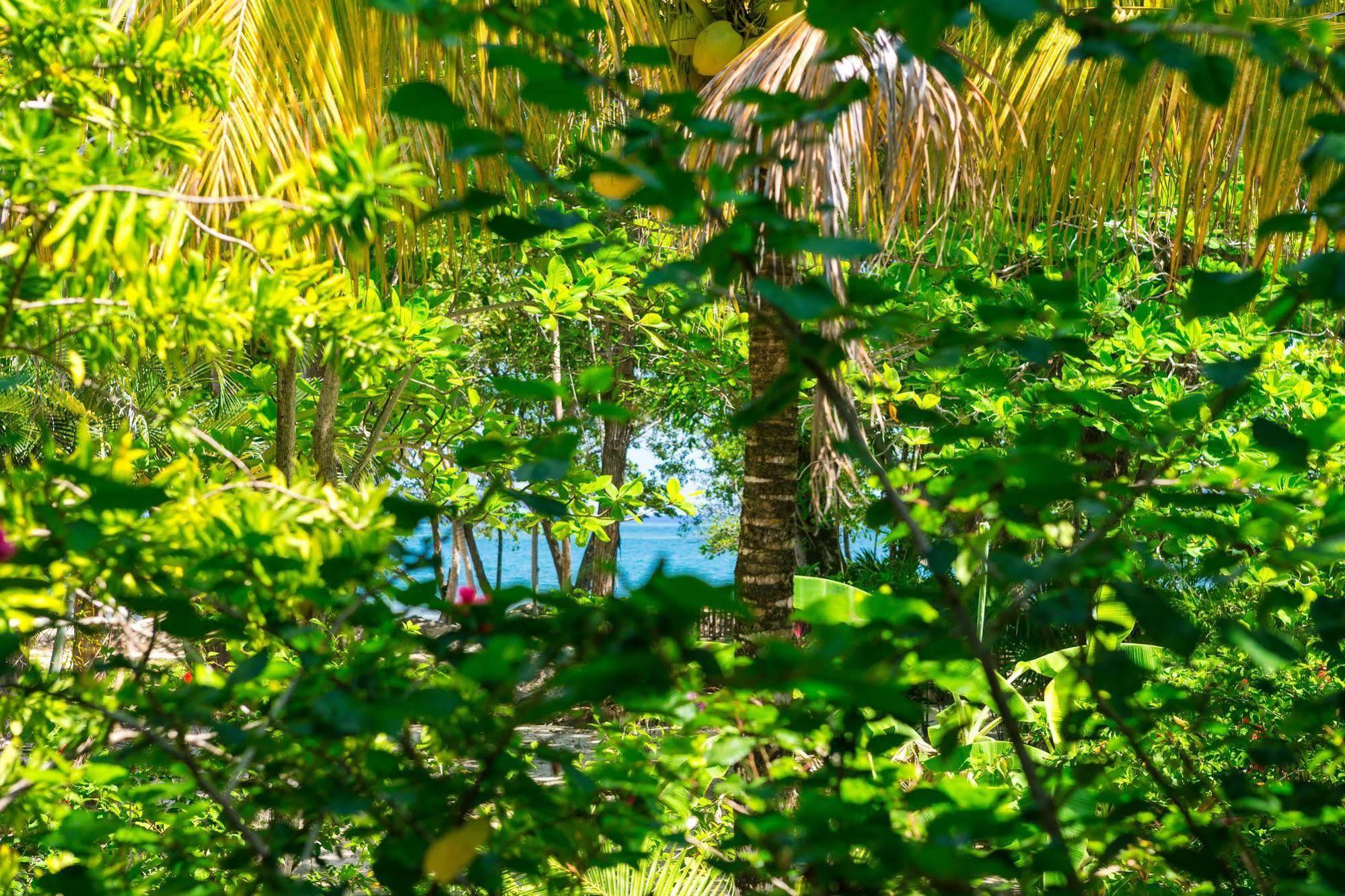 Casa Flores Palmetto Bay Eksteriør billede